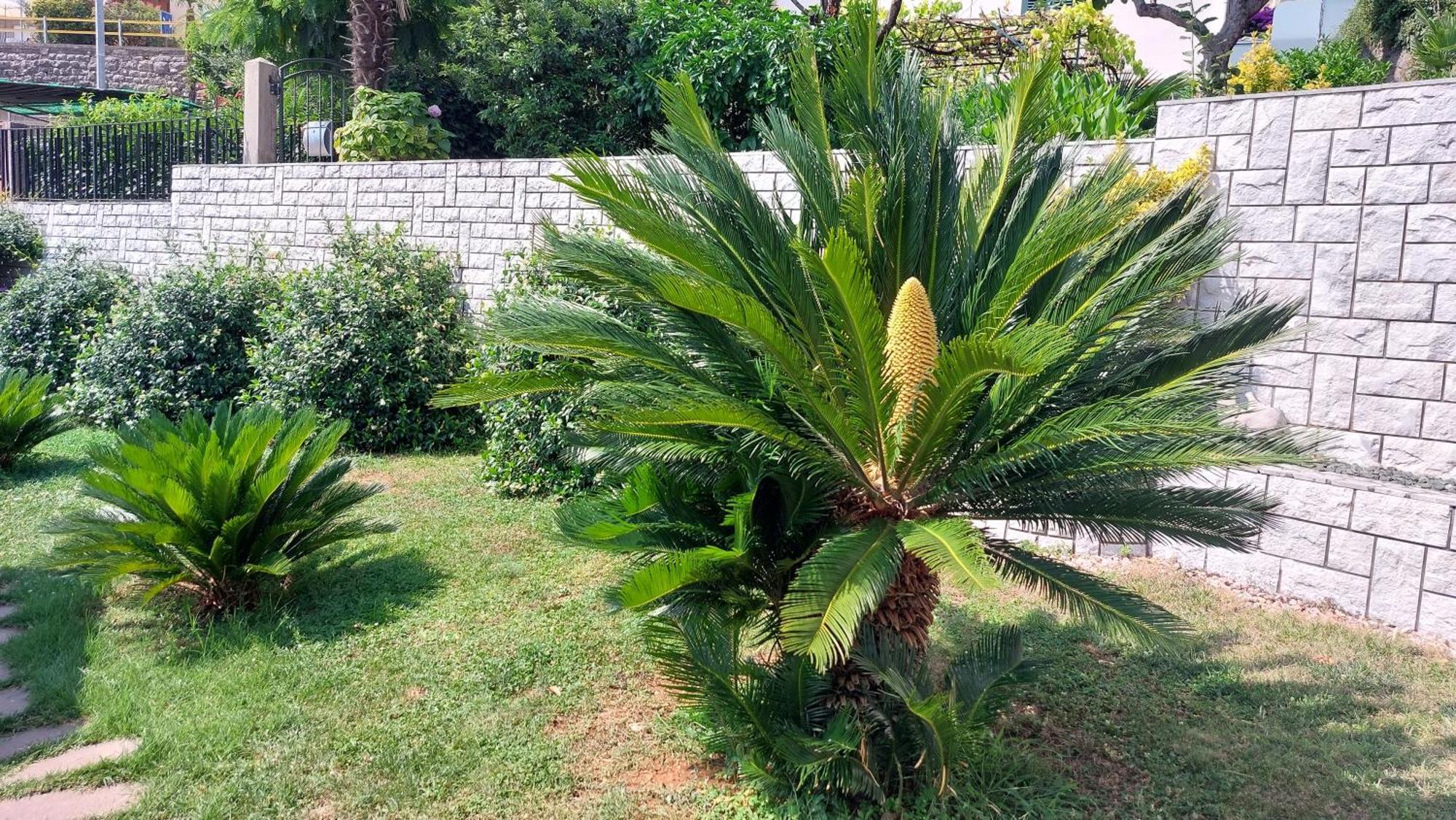 شقة Opatija Centar المظهر الخارجي الصورة
